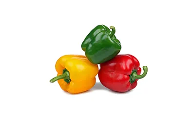 Capsicum