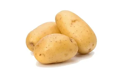 Potato